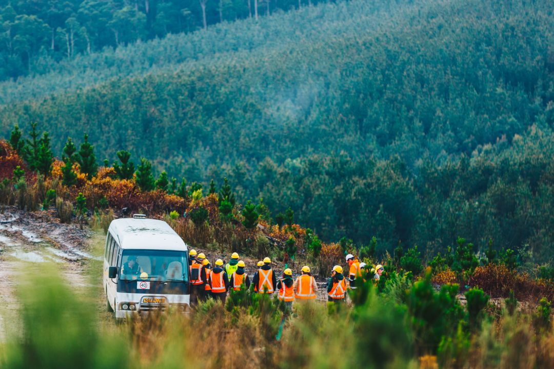2026_FSC_ANZ_Australia_Tasmania_FSC_Forest_Walk_attendees_pine_plantation_background_c_FSC_ANZ_Jasper_da_Seymour.jpg
